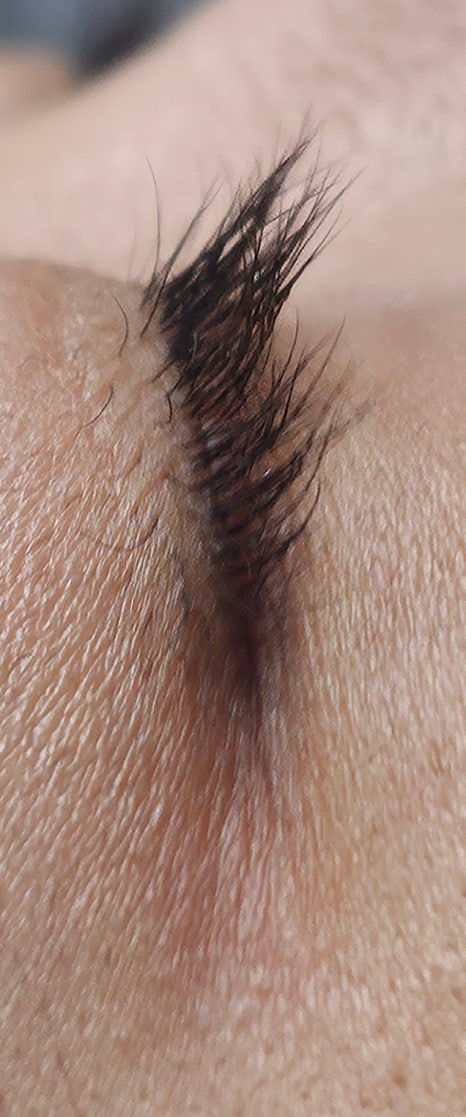 오늘the예쁜눈썹 이미지