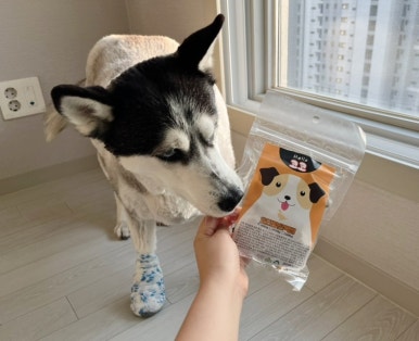 바름컴퍼니 이미지