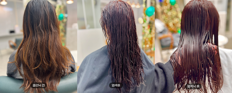 살롱드엘 이미지