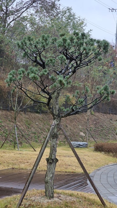 전국OA 이미지