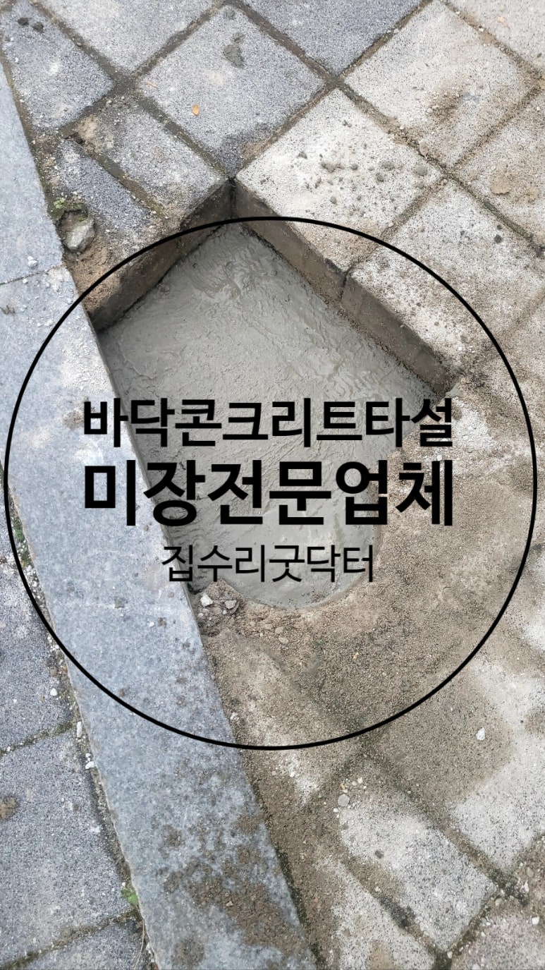 닥터미장 이미지