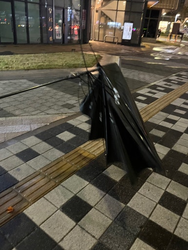 레드락호프 사진 8