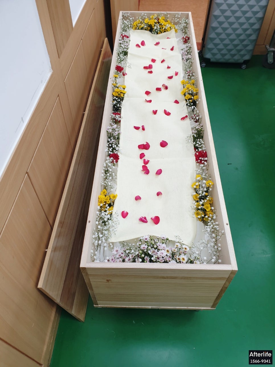 춘천상조 이미지