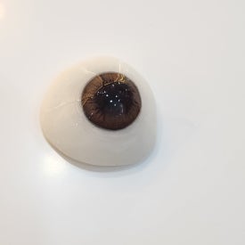 모네 브라운 이미지