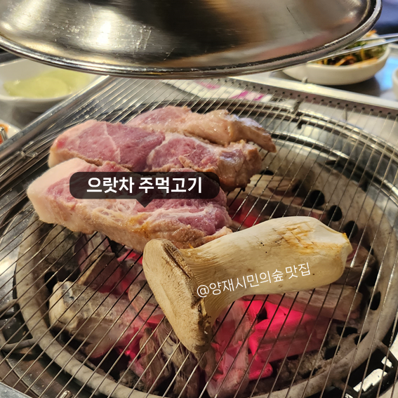 으랏차 주먹고기 이미지