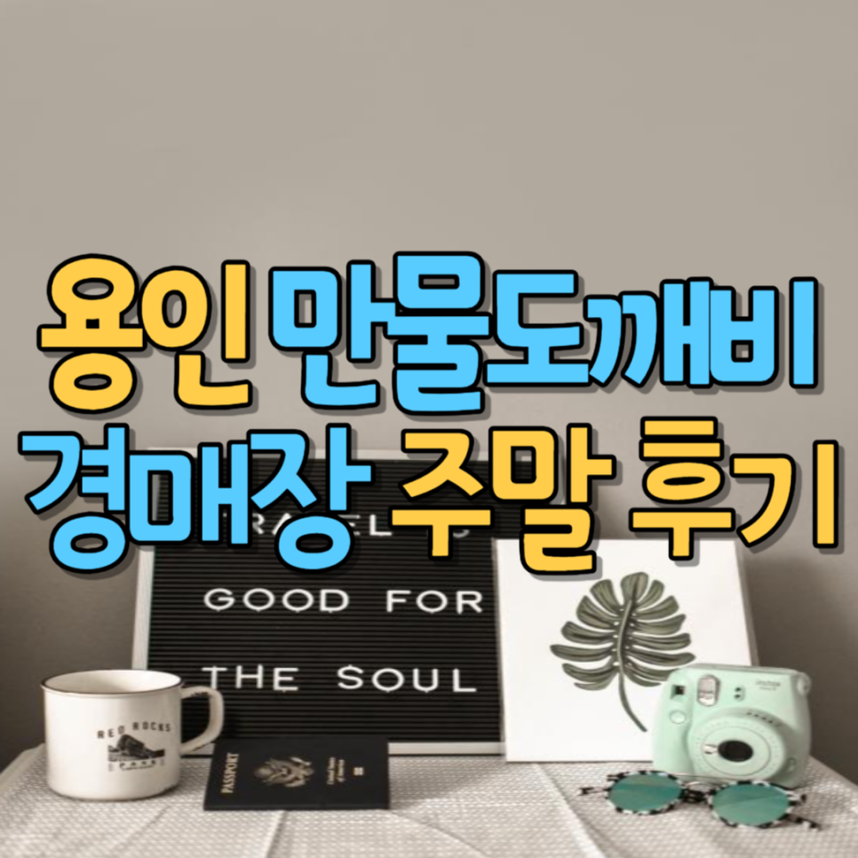 에버만물 이미지