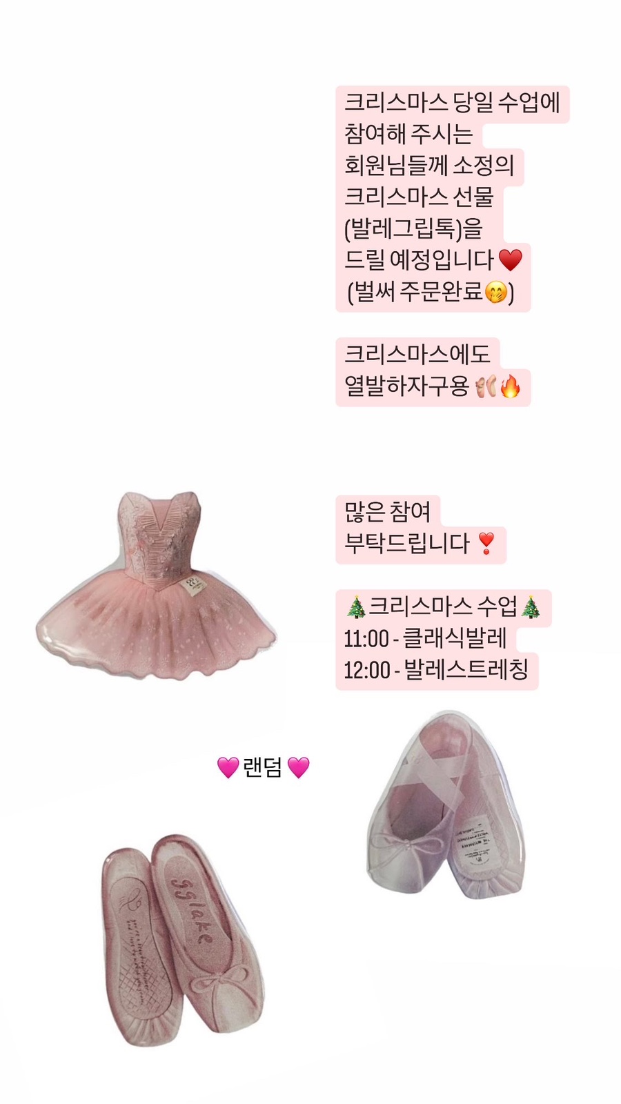 보드레핏 이미지