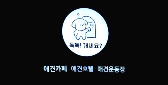 독독!개세요? 이미지