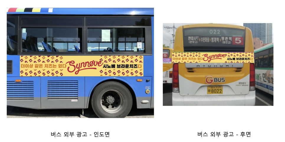 시노베코리아 이미지