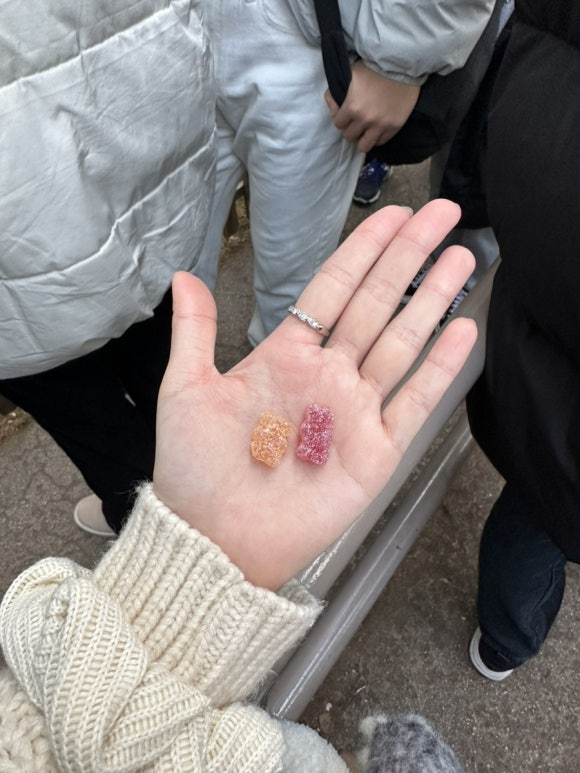 스시익스프레스 이미지