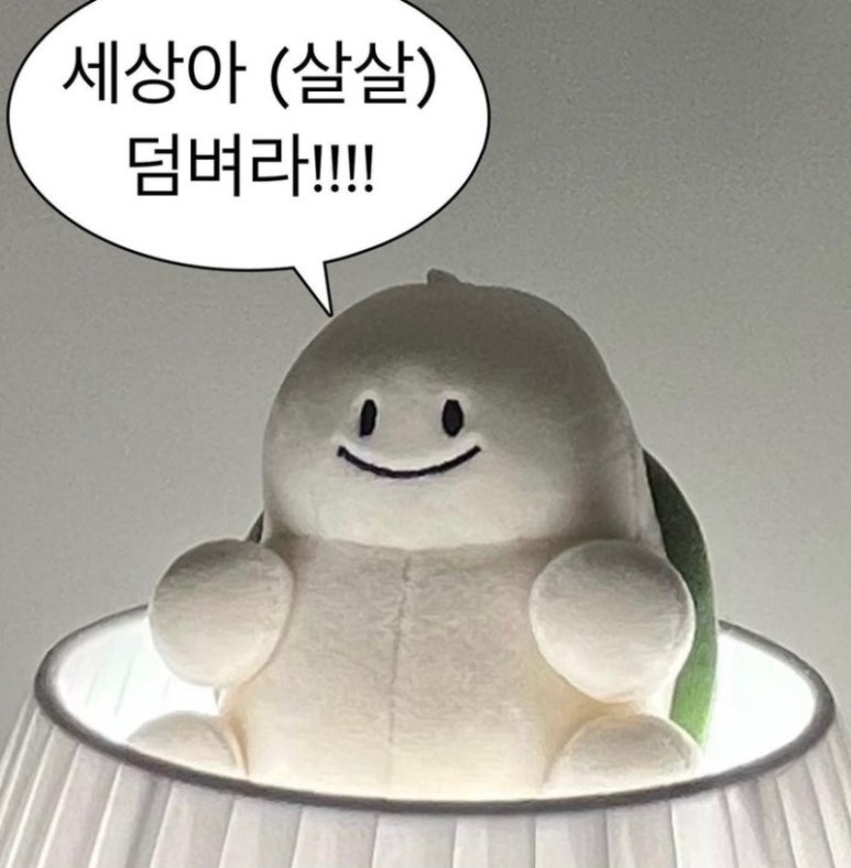 신석 이미지