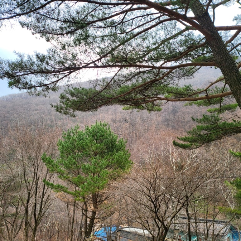 태백경안만물 이미지