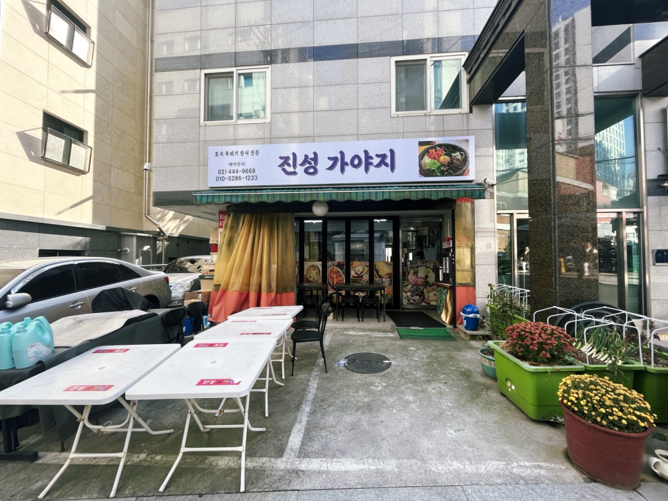 진성가야지 이미지