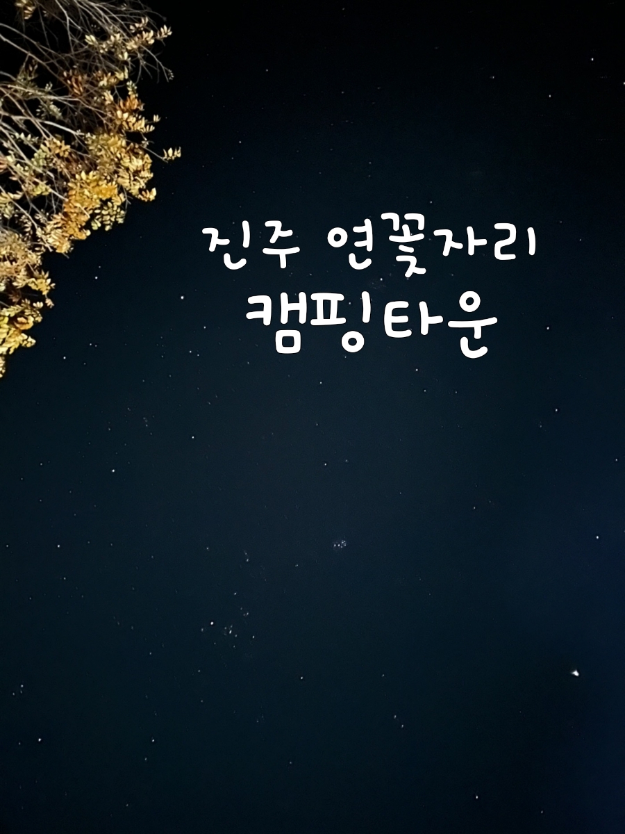 연꽃자리캠핑타운 이미지