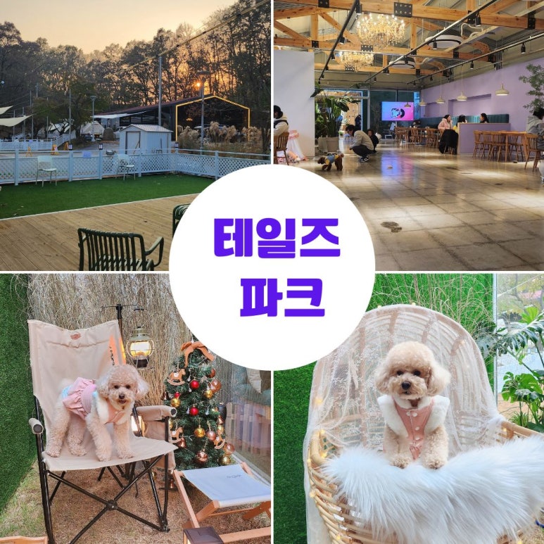 (주)테일즈파크 이미지