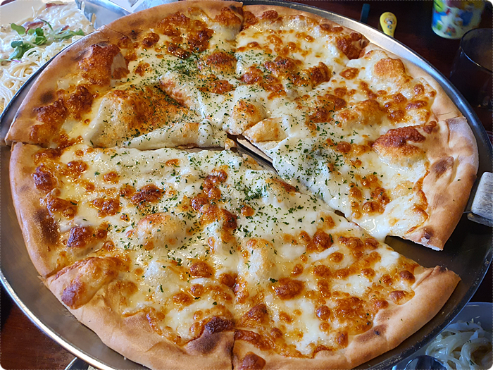 로티주 이미지