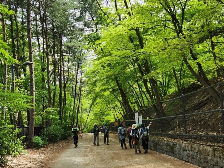 하나레포츠 이미지