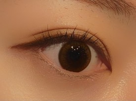 모네 브라운 이미지