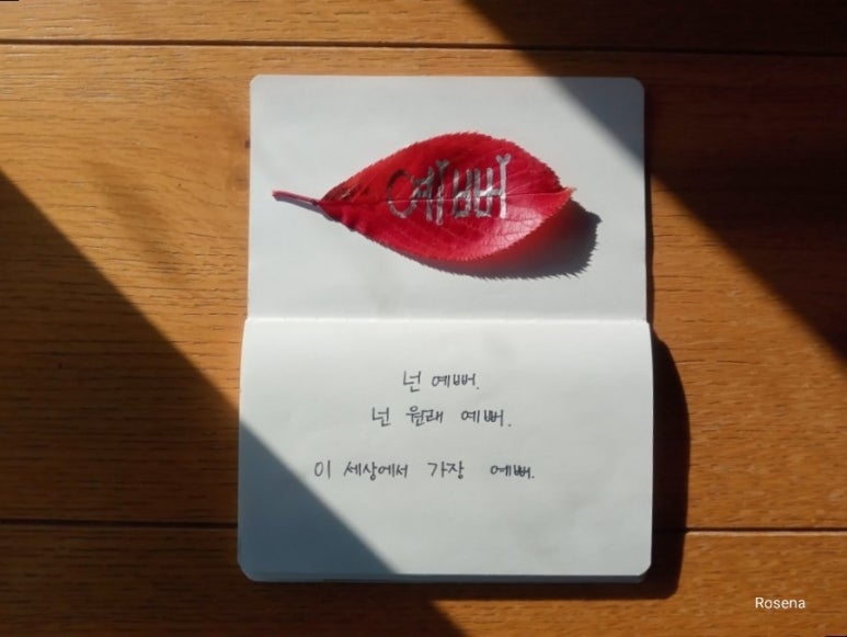 넌;예뻐 이미지