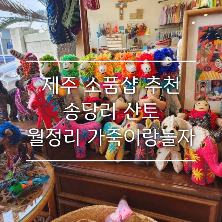 가죽아놀자 이미지