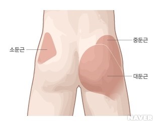 디노짐 이미지