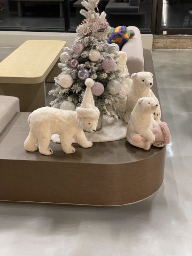 카페모이라 이미지
