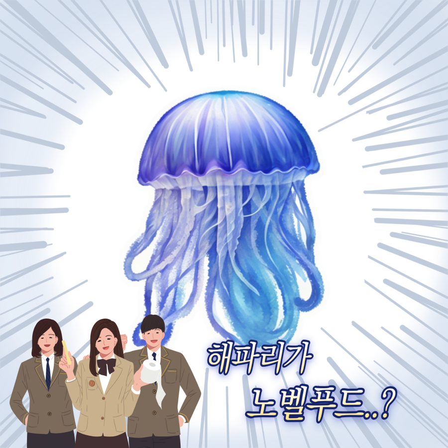 노벨푸드 이미지
