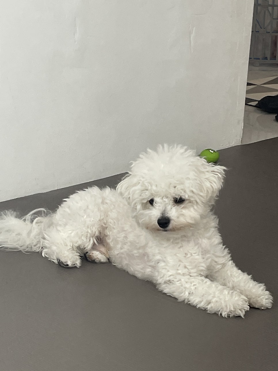 잇(it)샵 이미지