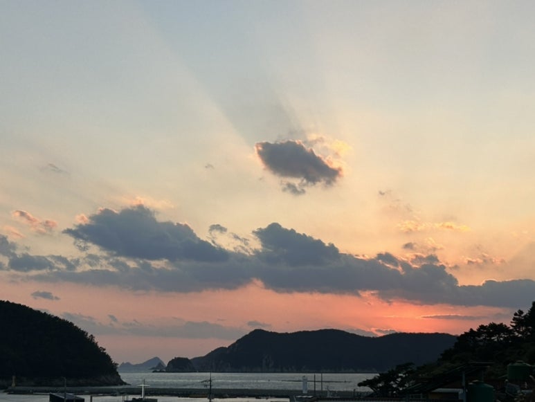 옥포윤식당 이미지
