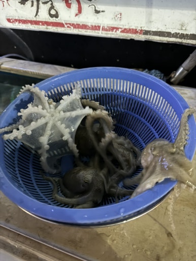 취중닭발 이미지