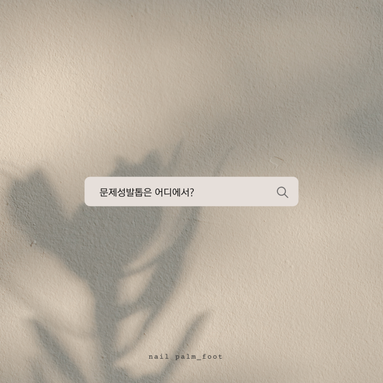 네일팜 이미지
