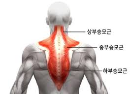 로빈짐 이미지