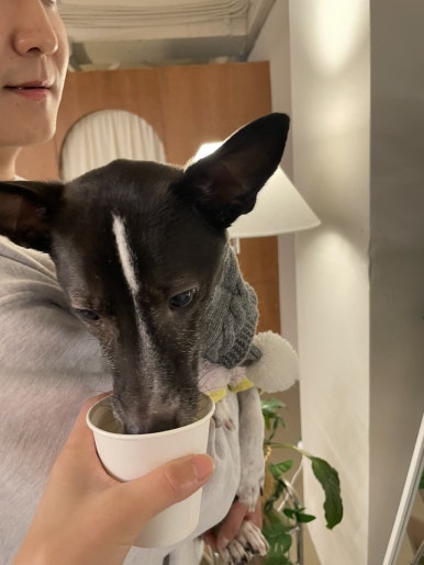 달록사진관 이미지