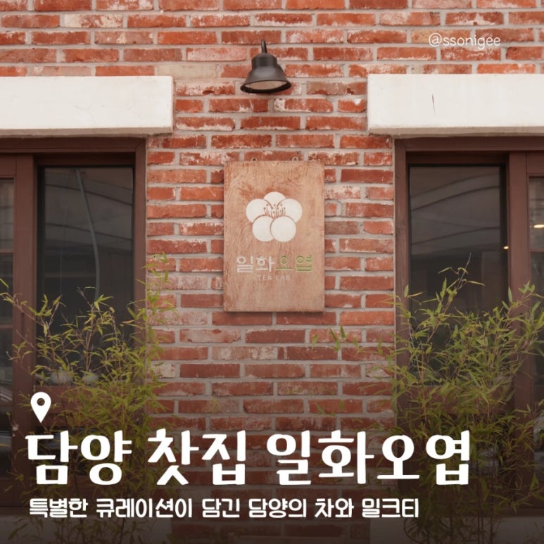 일화오엽 이미지