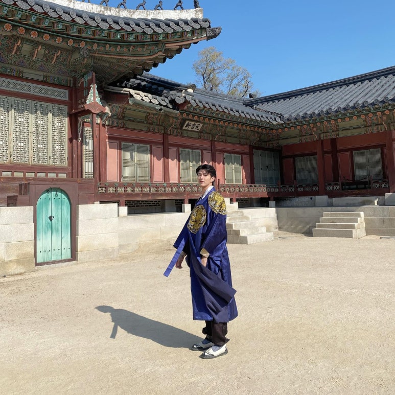 보리카 이미지