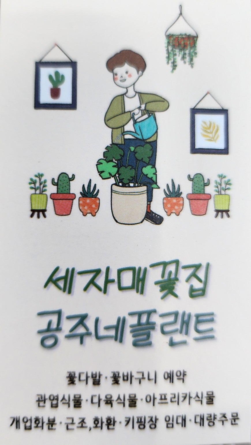세자매꽃집 이미지