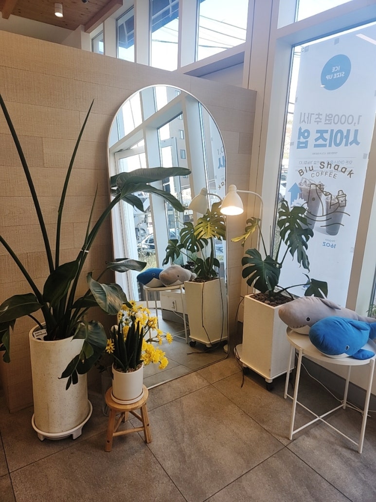 블루샥사상점 이미지