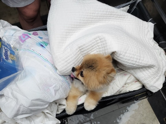 이박사돈까스 이미지