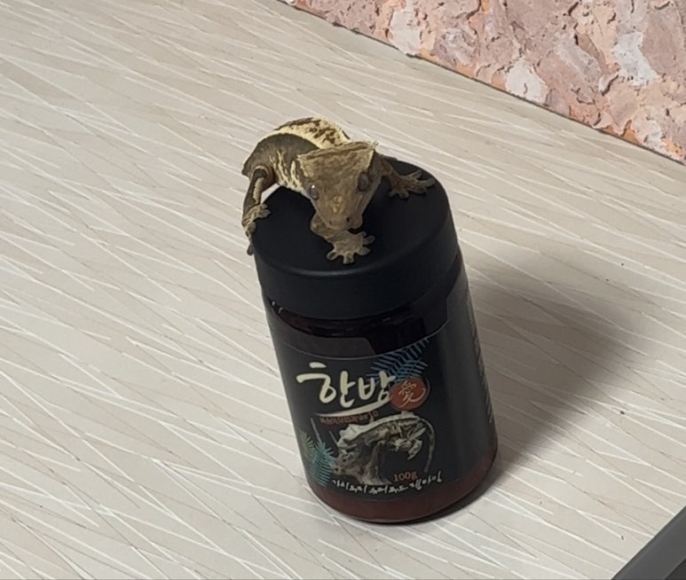 한방애푸드 이미지