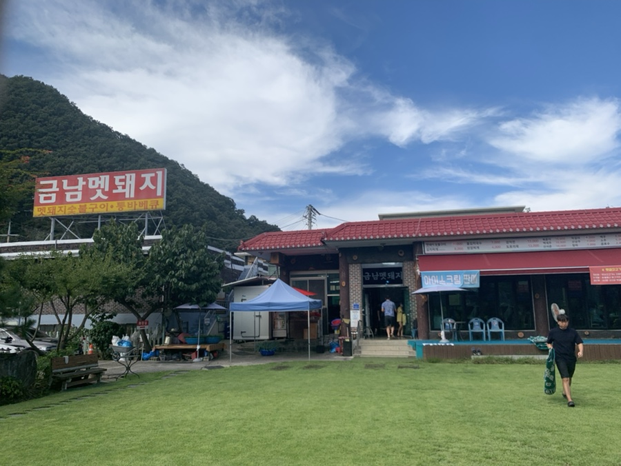 금남멧돼지 이미지