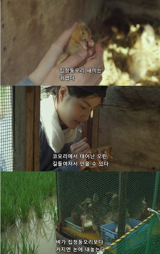 성수 이미지
