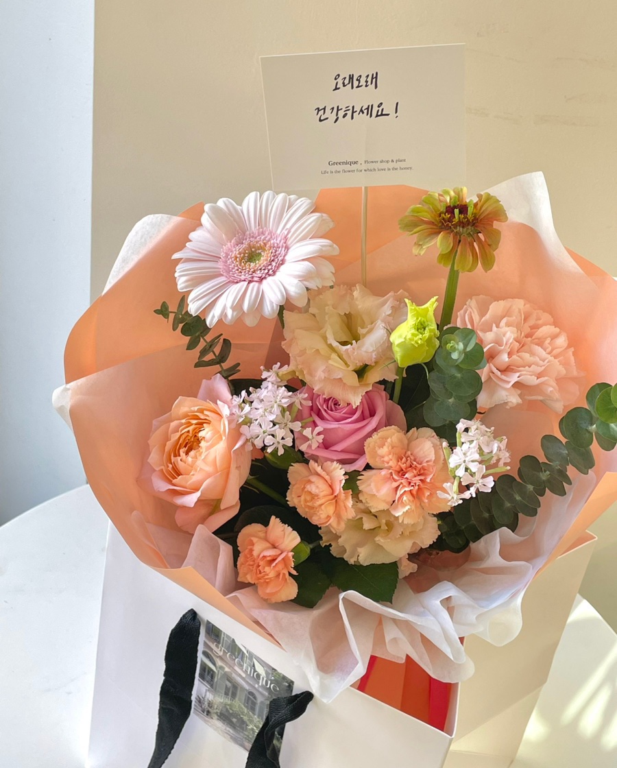 그리니크 이미지