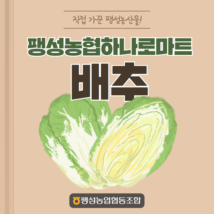 팽성농업협동조합 하나로마트 이미지