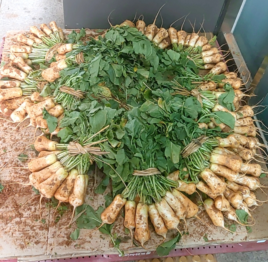 수지농협 로컬푸드 직매장 이미지
