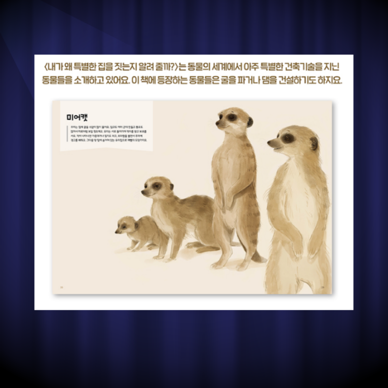 자연이 행복한집 이미지