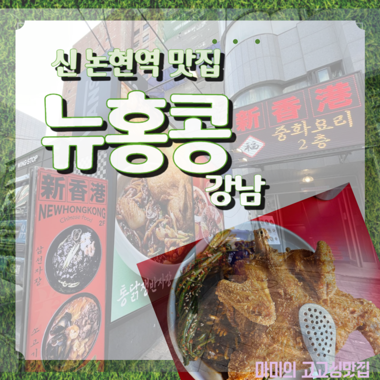 뉴쟁반2 이미지