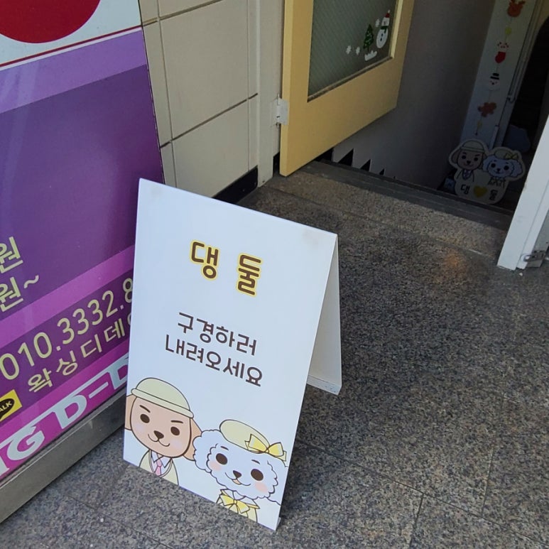 댕둘 이미지