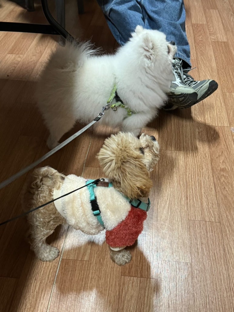 한라맥주 진주평거점 이미지