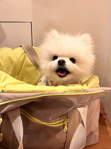 앤드일리Andily 이미지