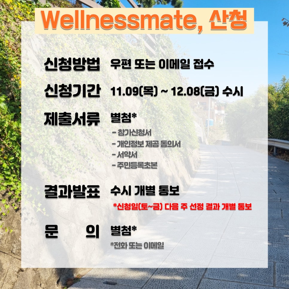 웰니스메이트 이미지